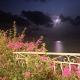 Villa Erbella with sea view from balcony and lovely garden, La Celle-sous-Gouzon (photo 4)