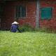 Ttdropin Homestay, Taitung (foto 6)