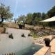 Andalusian holiday cottage La Cuadra, Malaga - Zdjęcie 5