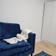 Newly Built basement suite, Edmonton (foto 8)