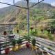 Sumit Home Stay & Cafe, Dehradun - Zdjęcie 6