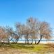 Apartament Eden by ALZ, Mamaia Nord - Năvodari - Foto 2