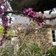 Gîte Ke'R Maé, Le Quiou (foto 5)