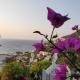 Private Villa & Beach with Sea View, Küçükkiremit Adası (zdjęcie 2)