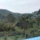 Nest Valley Kotagiri, Kotagiri - Photo 10