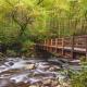 Twin Peaks Unit 1, Hot Tub, WIFI, 685 IN FREE Tickets each paid day, Sevierville (foto 5)
