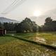 Milu Homes, Thirunelli - 写真 7