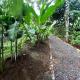 Arenal Rústic Lodge, Fortuna - Fotografie 5