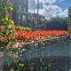 Beautiful Ground floor flat in the Heart of Rochester with balcony mobility friendly, Rochester (Foto 9)