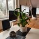 Muota River Loft & Muota Industry Apartment near Stoos, Muotathal (foto 8)