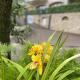 Villa Gianna 3, Limone sul Garda (Foto 9)