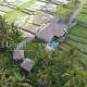 EDEN VALLEY Ubud - Fotografie 2