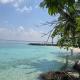 Uhoo's Lavish Oasis, Felidhoo (foto 5)