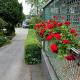 Pension am Tiefen See, Potsdam - Photo 5