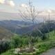 B&b da Elena e Davide, San Donato in Taviglione (fotografie 3)