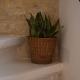 Tal-Pupa Converted Home, Marsaxlokk (foto 3)