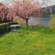 Sandeidfjorden overnatting, Sandeid - 写真 2