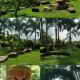 Candela Garden, Kurunegala (photo 2)