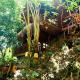 Jungle Face Inn