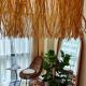 Studio 12LVE, Manille - Photo 1