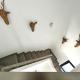 Gorgeous douplex apartment in Parque Holandes, Parque Holandes (photo 8)