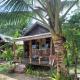The Nipah Chalet, Ostrov Tioman - Fotografie 10