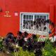 Casa El Potrero, Mocanal