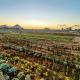 Gokul Jawai, Bīsalpur - 写真 1