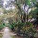 Orchard Retreat Resorts, Pushkar - Zdjęcie 3