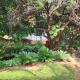 Tree Aloe Guest House, Mokopane (fotografie 3)