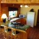 Beautiful Log Ski Cabin Belleayre Mtn Views, Pine Hill - Fotografie 8