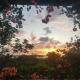 Private Hilltop - Garden Apartment - Orange Bay, Orange Bay (photo 4)