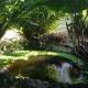 Private Hilltop - Garden Apartment - Orange Bay, Orange Bay (photo 6)