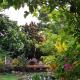 Private Hilltop - Garden Apartment - Orange Bay, Orange Bay (photo 9)