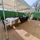 Green house, Sremska Kamenica (foto 10)