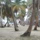 isla de san blas, Warsobtugua - Zdjęcie 4