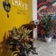 PARTY HOSTEL THAY Miraflores Lima, Lima - Foto 7