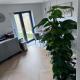 Double bedroom with private bathroom close to city center Cork - Fotografie 10