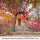 Coachman's Cottage - Cosy Charm, Pets Welcome, Orange