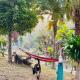 The Nest, Pai Love Resort, Ban Thung Yao (foto 6)