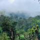 Adis Home - With Beautiful Waterfalls - three min walk, Kalasa - Fotografie 4