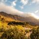 Dam House Cottage, Franschhoek (foto 9)