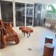 R&R Entire Rental Unit, Manille - Photo 10