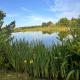 The Mole Hill, Bransford (foto 6)