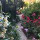 Home Garden, Roseto degli Abruzzi (fotografie 2)
