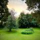 Villa La Dogana - B&B with a lovely garden - Private parking - Slow living in an old-fashioned historical home, Lucca (foto 8)