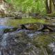 Creek Heaven, Cosby (fotografie 7)