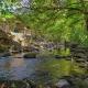Creek Heaven, Cosby (fotografie 8)