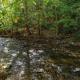 Whispering Creek, Cosby (photo 2)