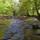 Whispering Creek, Cosby (photo 3)